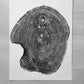 Set of 3, Utah Art, Alaska Art, Ohio State Art, Mulberry Tree, Cedar Tree, Wood Slice Wall Art lintonart