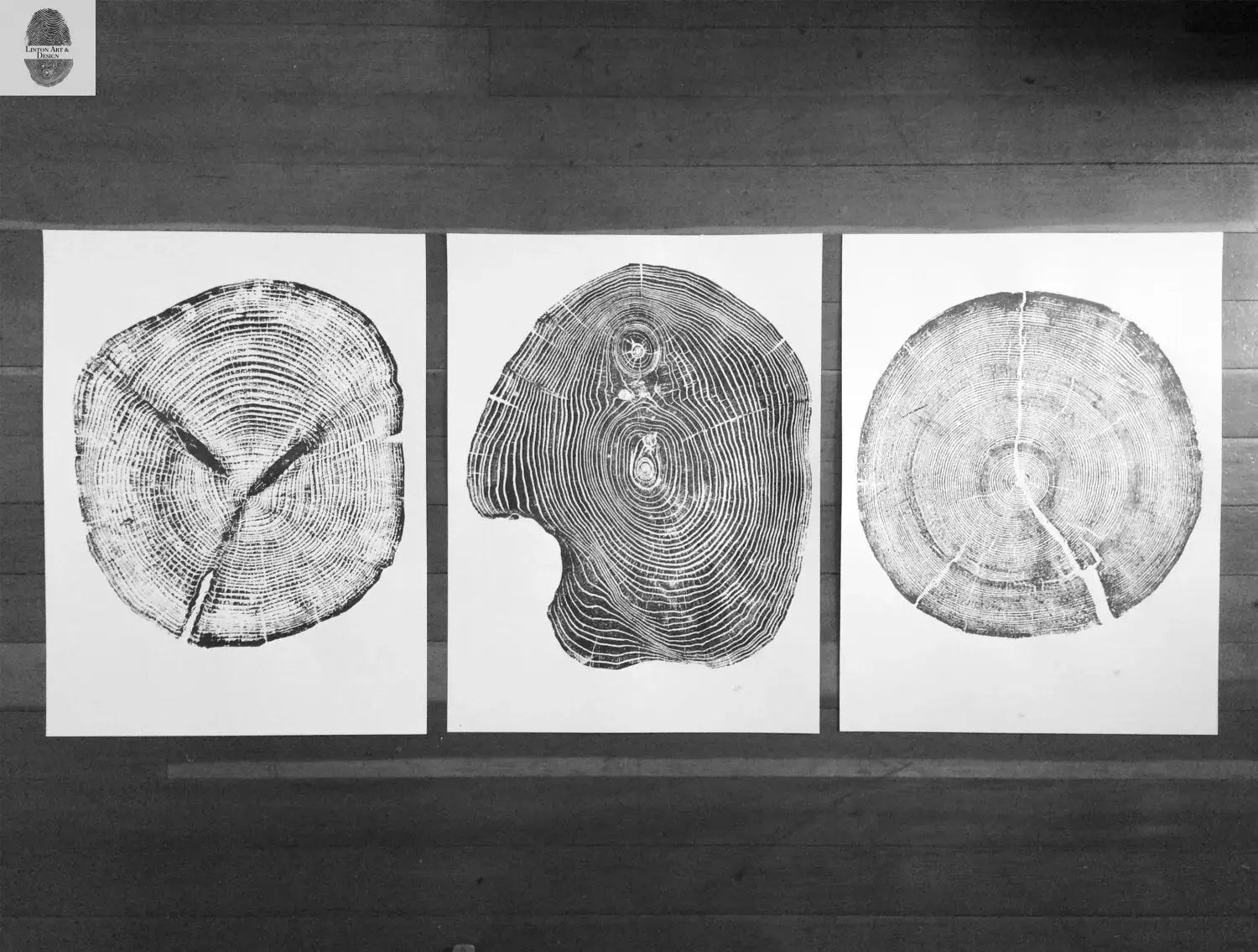 Set of 3, Utah Art, Alaska Art, Ohio State Art, Mulberry Tree, Cedar Tree, Wood Slice Wall Art lintonart