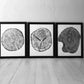 Set of 3, Utah Art, Alaska Art, Ohio State Art, Mulberry Tree, Cedar Tree, Wood Slice Wall Art lintonart