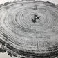 Denver Art, Rocky Mountains, Pine Tree Art, Tree ring Print, Woodcut Print lintonart
