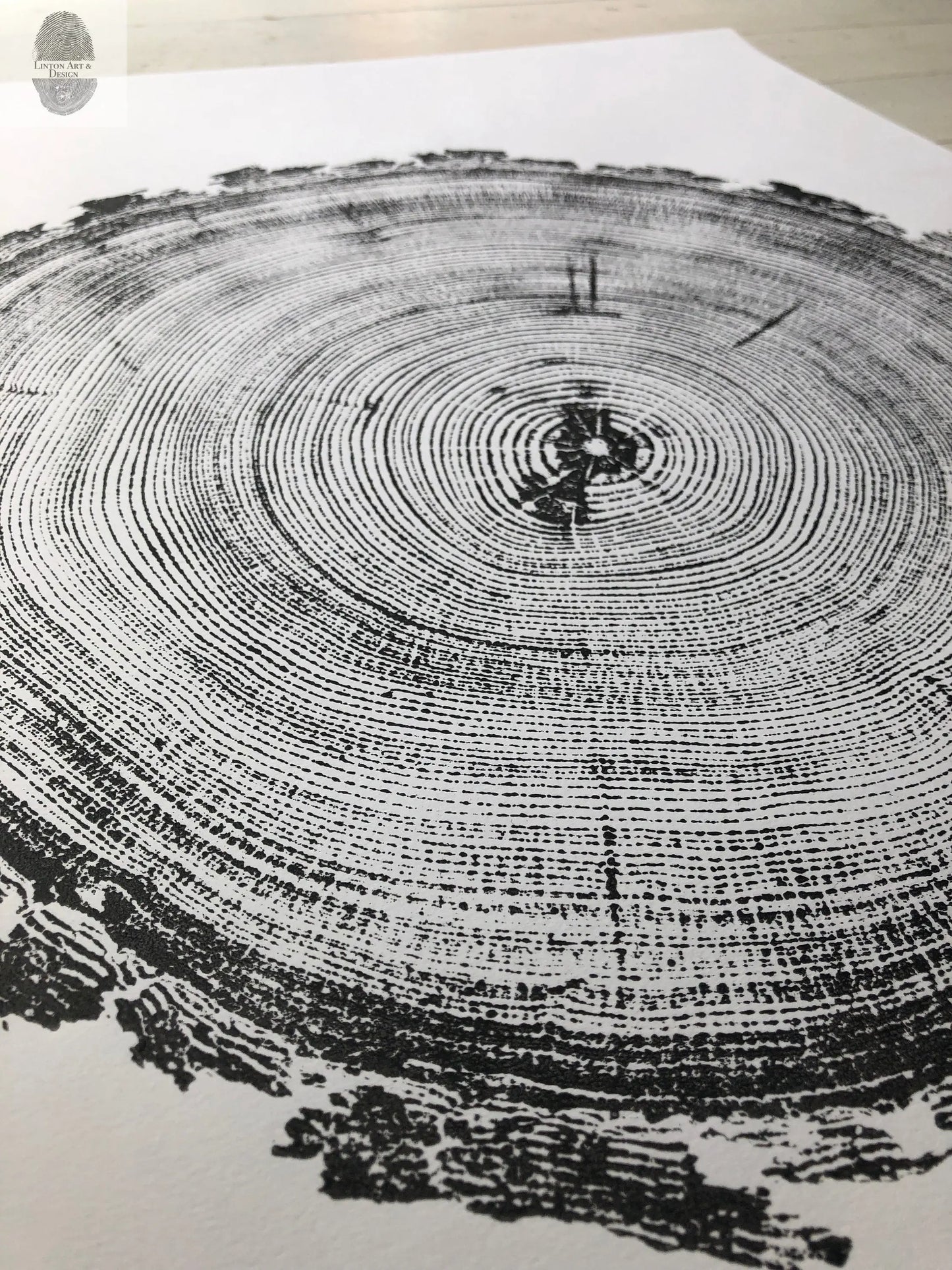 Denver Art, Rocky Mountains, Pine Tree Art, Tree ring Print, Woodcut Print lintonart