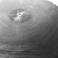 Denver Art, Rocky Mountains, Pine Tree Art, Tree ring Print, Woodcut Print lintonart