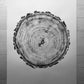 Denver Art, Rocky Mountains, Pine Tree Art, Tree ring Print, Woodcut Print lintonart