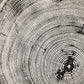 Denver Art, Rocky Mountains, Pine Tree Art, Tree ring Print, Woodcut Print lintonart