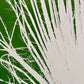 Fan Palm Leaf Diptych Hand Pressed Monoprint on Green Set of 2 - 24x36 each giclee print lintonart