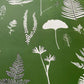 Fern Collage Hand Pressed Botanical Monoprint on Green - giclee print lintonart