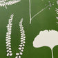 Fern Collage Hand Pressed Botanical Monoprint on Green - giclee print lintonart