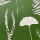 Fern Collage Hand Pressed Botanical Monoprint on Green - giclee print lintonart
