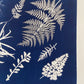 Ferns Collage Hand Pressed Botanical Monoprint on Blue - 18x24 Giclee Print lintonart