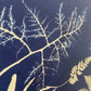 Ferns Collage Hand Pressed Botanical Monoprint on Blue - 18x24 Giclee Print lintonart