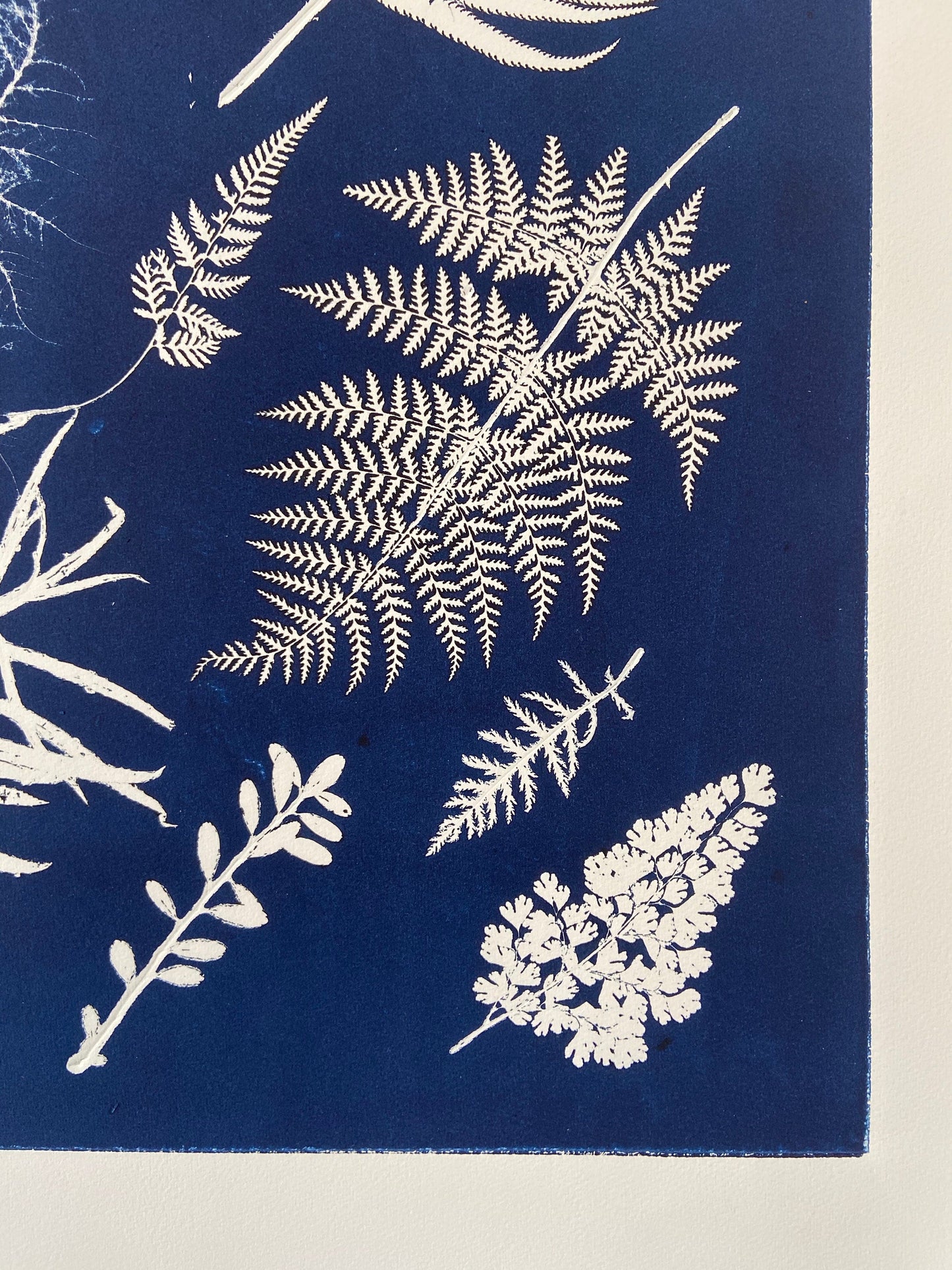 Ferns Collage Hand Pressed Botanical Monoprint on Blue - 18x24 giclee print