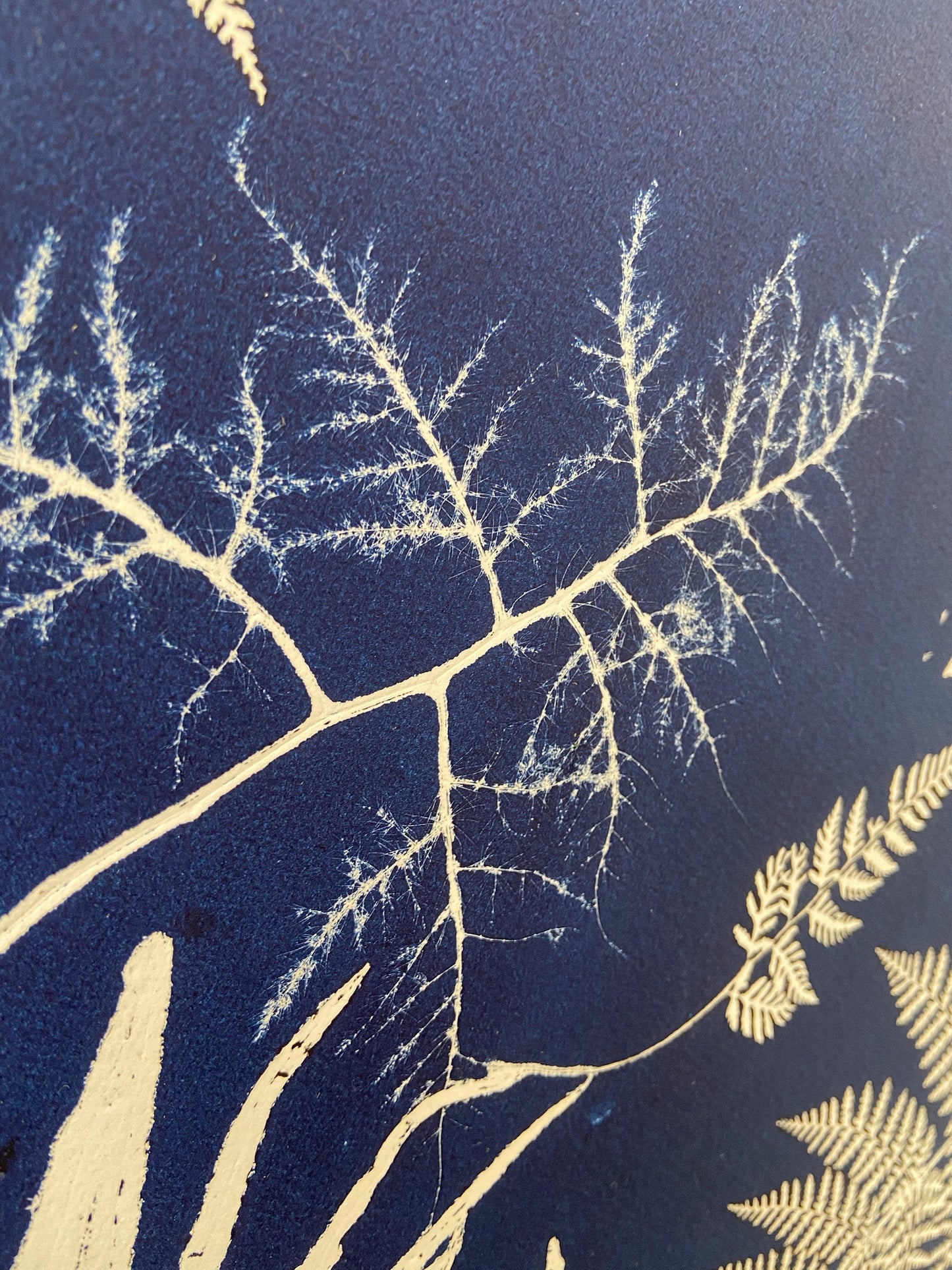 Ferns Collage Hand Pressed Botanical Monoprint on Blue - 18x24 giclee print