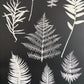 Ferns and Leaves Collage I Monoprint - 24x36 Giclee Print lintonart