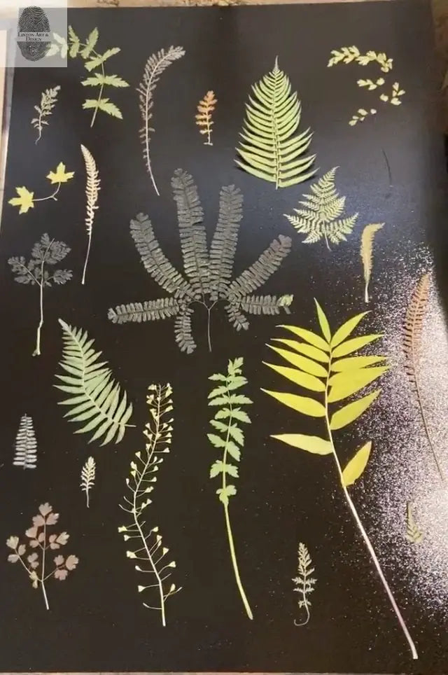 Ferns and Leaves Collage II Hand Pressed Monoprint - 24x36 Giclee Print lintonart