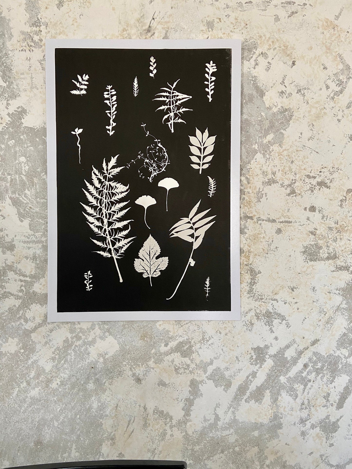 Ferns and Leaves Collage III, Hand Pressed Botanical Monoprint on Black - 24x36 giclee print