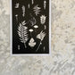 Ferns and Leaves Collage III, Hand Pressed Botanical Monoprint on Black - 24x36 giclee print lintonart