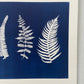 Ferns and Leaves Hand Pressed Botanical Monoprint in Blue - 18x24 giclee print lintonart