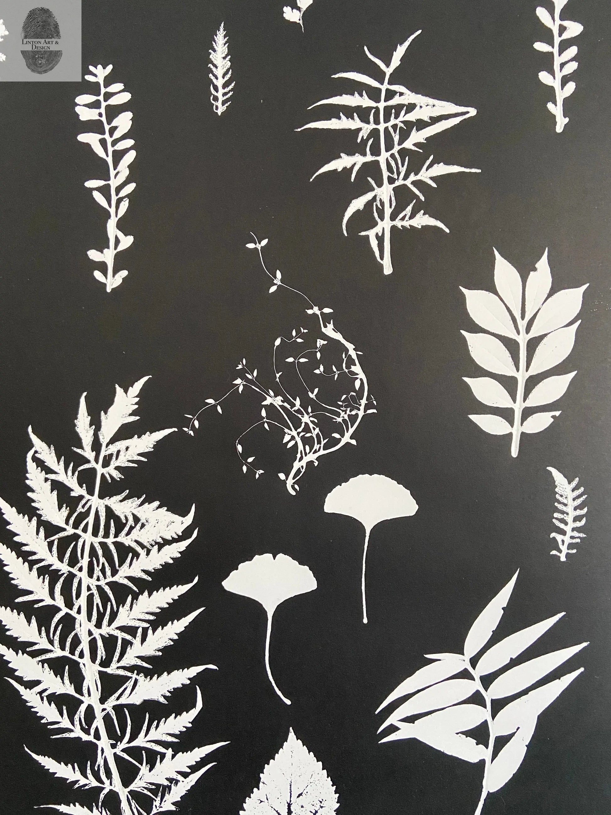 Ferns and Leaves Hand Pressed Botanical Monoprint on Black Set of 3 - 24x36 each giclee print lintonart