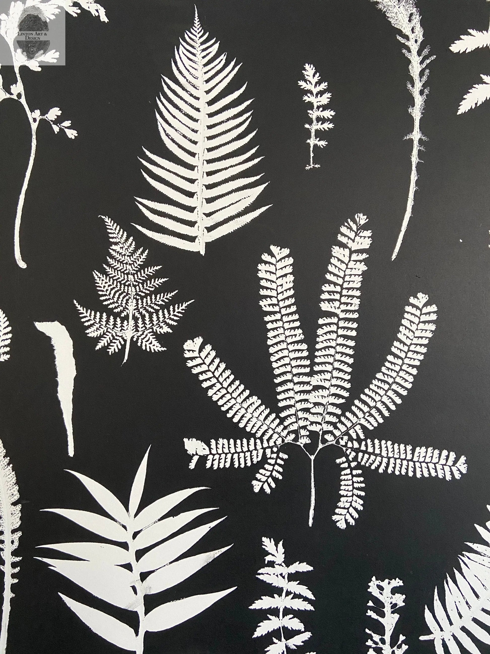 Ferns and Leaves Hand Pressed Botanical Monoprint on Black Set of 3 - 24x36 each giclee print lintonart