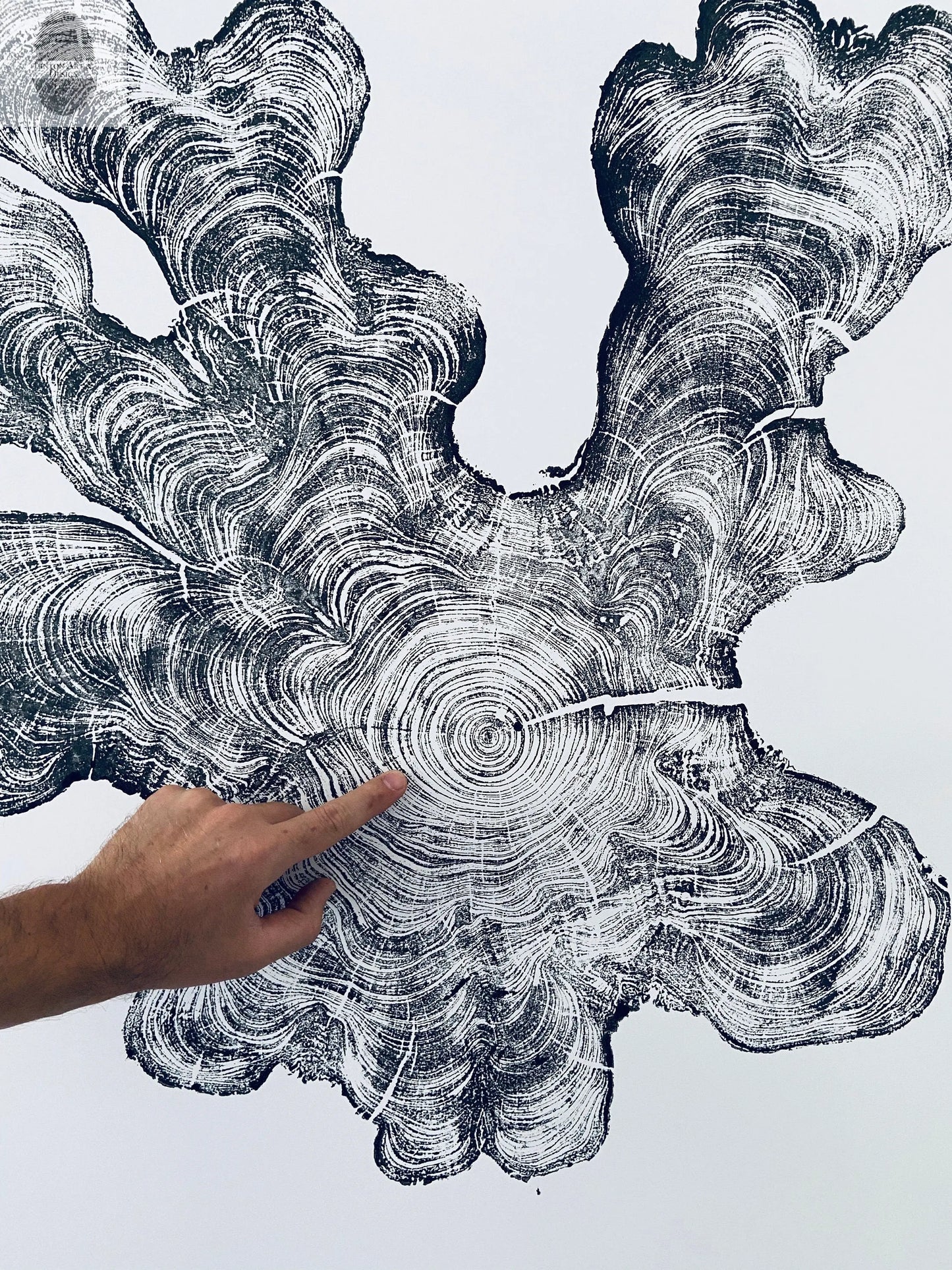 Florida Print, Everglades Art, Big cypress, Osceola, Tree Ring Print, Huge Wall Art lintonart