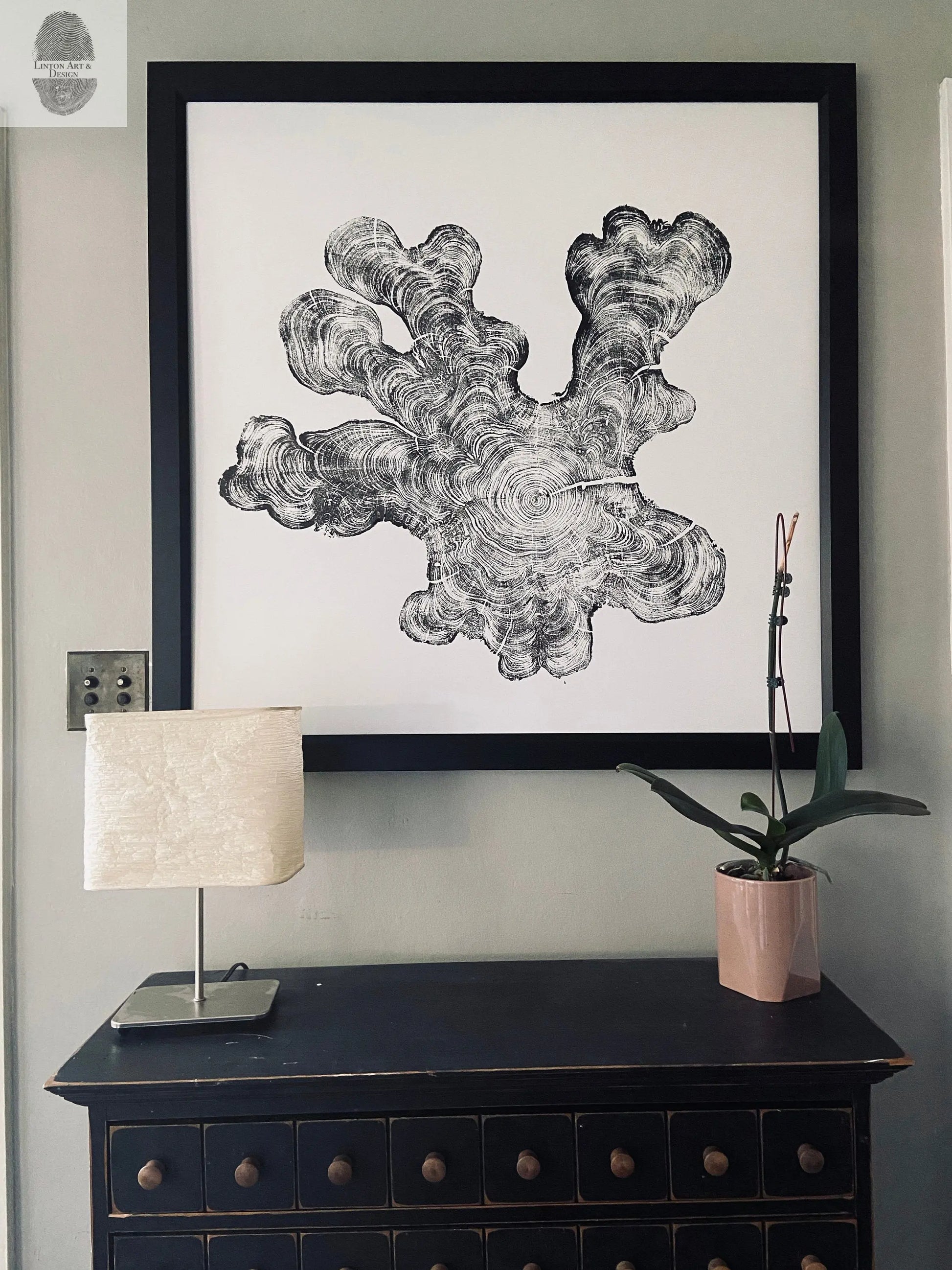 Florida Print, Everglades Art, Big cypress, Osceola, Tree Ring Print, Huge Wall Art lintonart