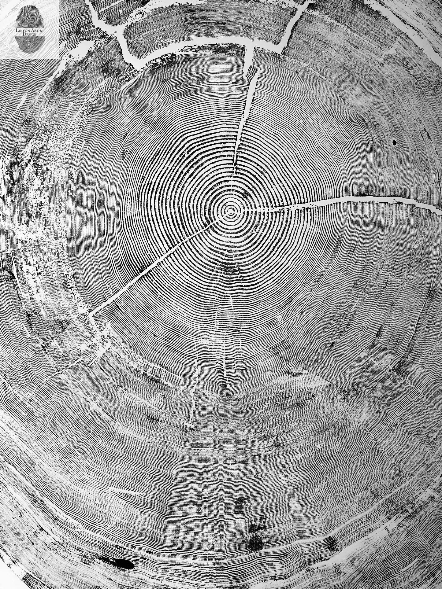 Oregon Coast Sitka Spruce - 52x60 print lintonart