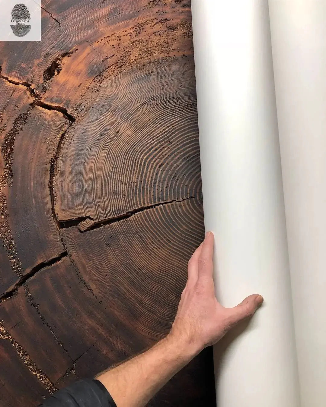 Oregon Coast Sitka Spruce - 52x60 print lintonart