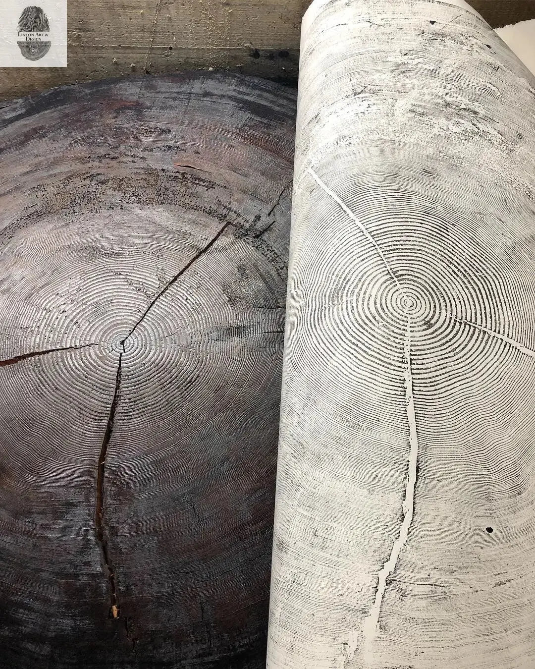 Oregon Coast Sitka Spruce - 52x60 print lintonart