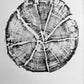 Glacier National Park, Montana Art, Tree Ring Print, Woodblock Print lintonart