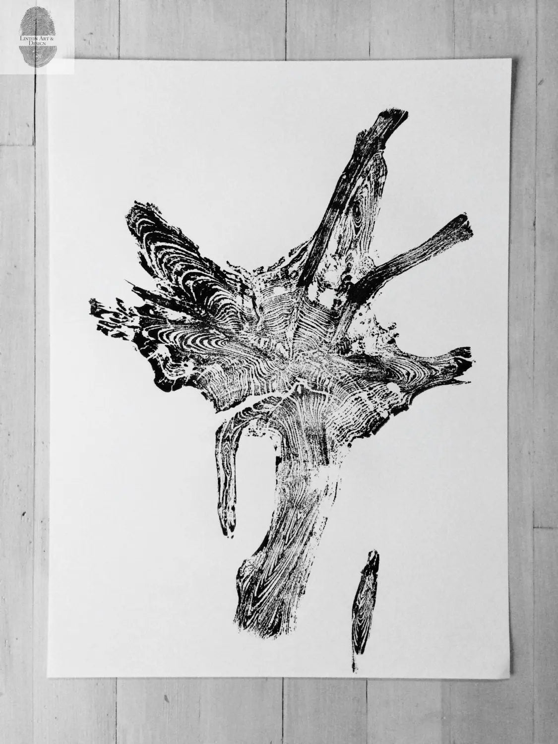 Glacier National Park, Montana Pine Tree Roots II - 18x4 print lintonart