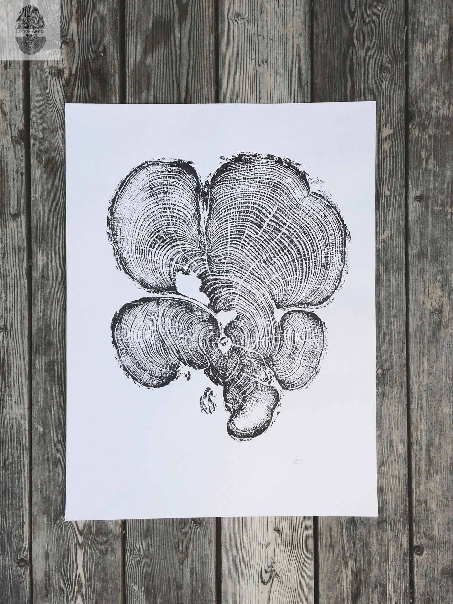 Grand Canyon Cedar, Tree Ring Print, woodcut art, Real tree rings, Nature inspired art, real tree art, Arborist art, Christmas art gifts lintonart