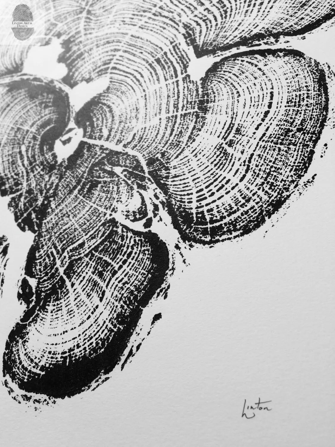 Grand Canyon Cedar, Tree Ring Print, woodcut art, Real tree rings, Nature inspired art, real tree art, Arborist art, Christmas art gifts lintonart
