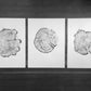 Grand Tetons, Alaska Art, Wyoming Art, Idaho Art, Tree Ring Art, Woodcut print, Biology Gifts, tree ring prints - 18x24 each print lintonart