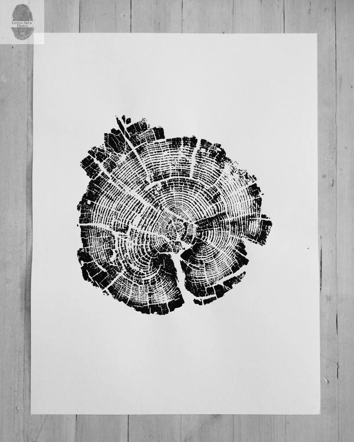 Grand Tetons, Alaska Art, Wyoming Art, Idaho Art, Tree Ring Art, Woodcut print, Biology Gifts, tree ring prints - 18x24 each print lintonart