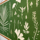 Hand Pressed Botanical Collage Monoprint on Green - Giclee Print lintonart