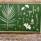 Hand Pressed Botanical Collage Monoprint on Green - Giclee Print lintonart