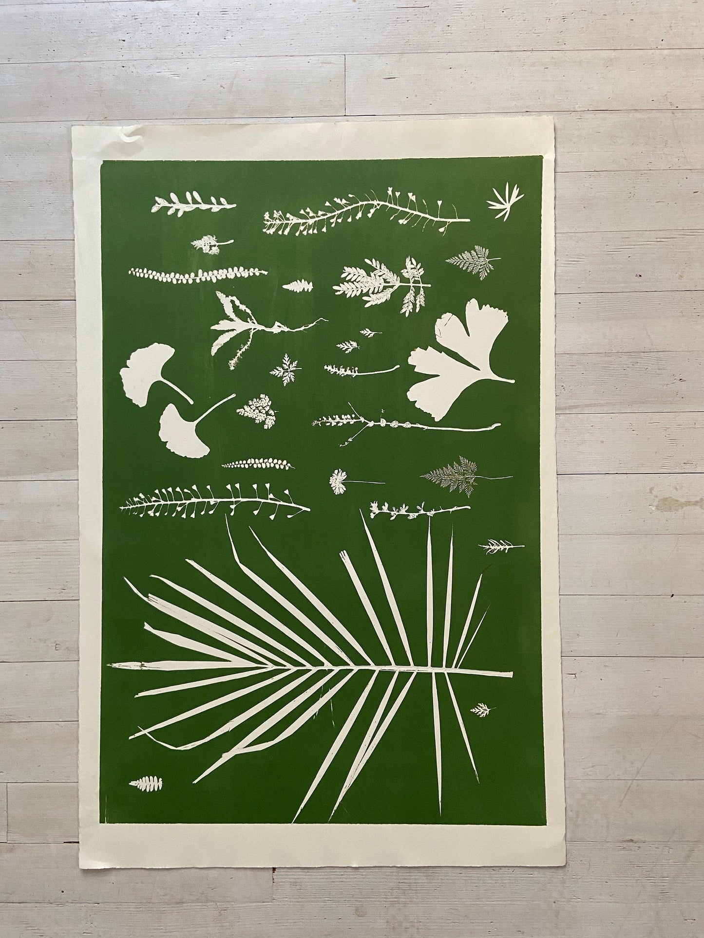 Hand Pressed Botanical Collage Monoprint on Green - giclee print