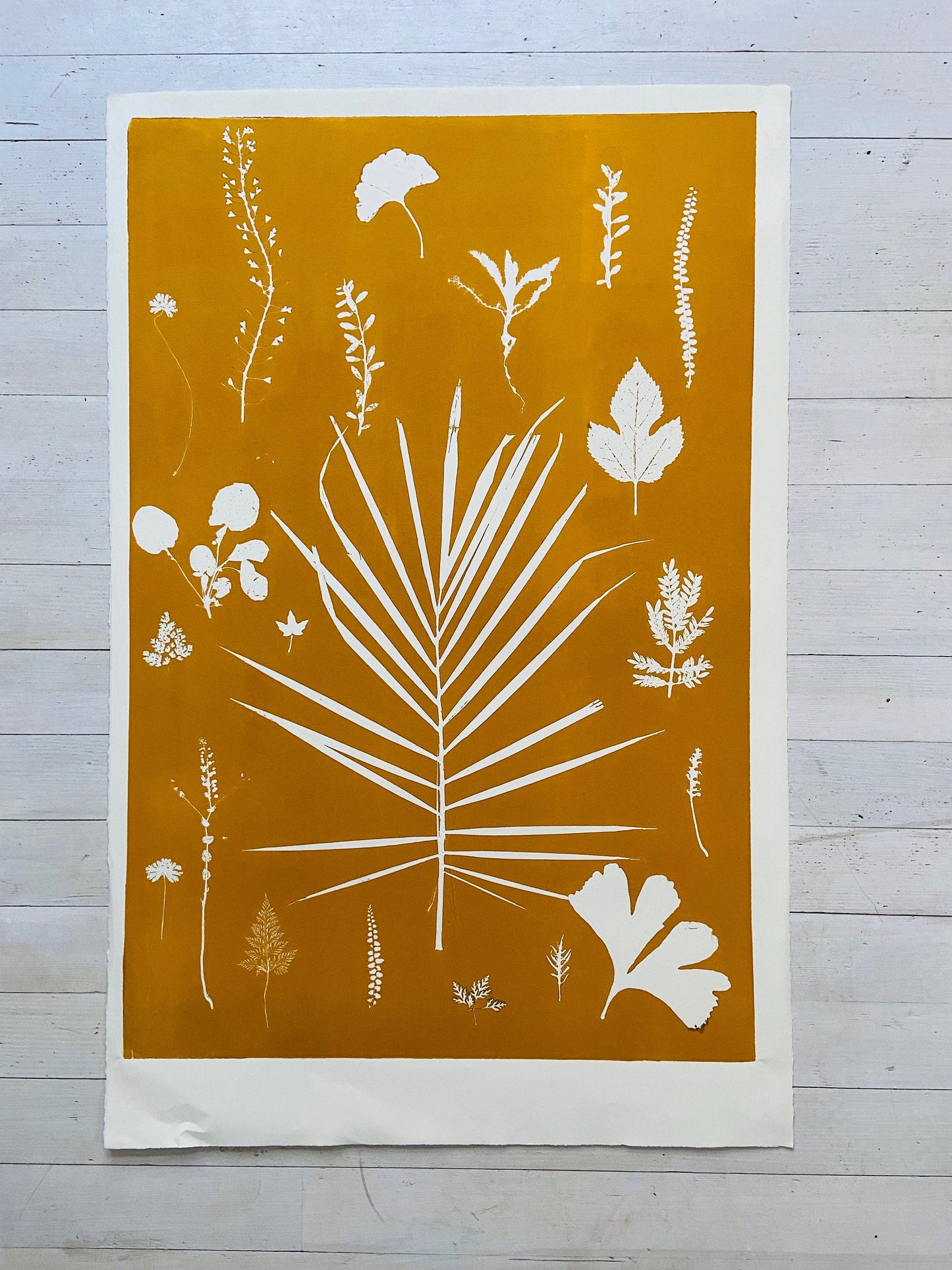 Hand Pressed Botanical Collage Monoprint on Yellow Gold - giclee print