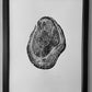 Hawaii Mango Tree, Tree ring print from Hawaii, Tree stump art, 18x24 inch woodcut, handmade by Erik Linton lintonart