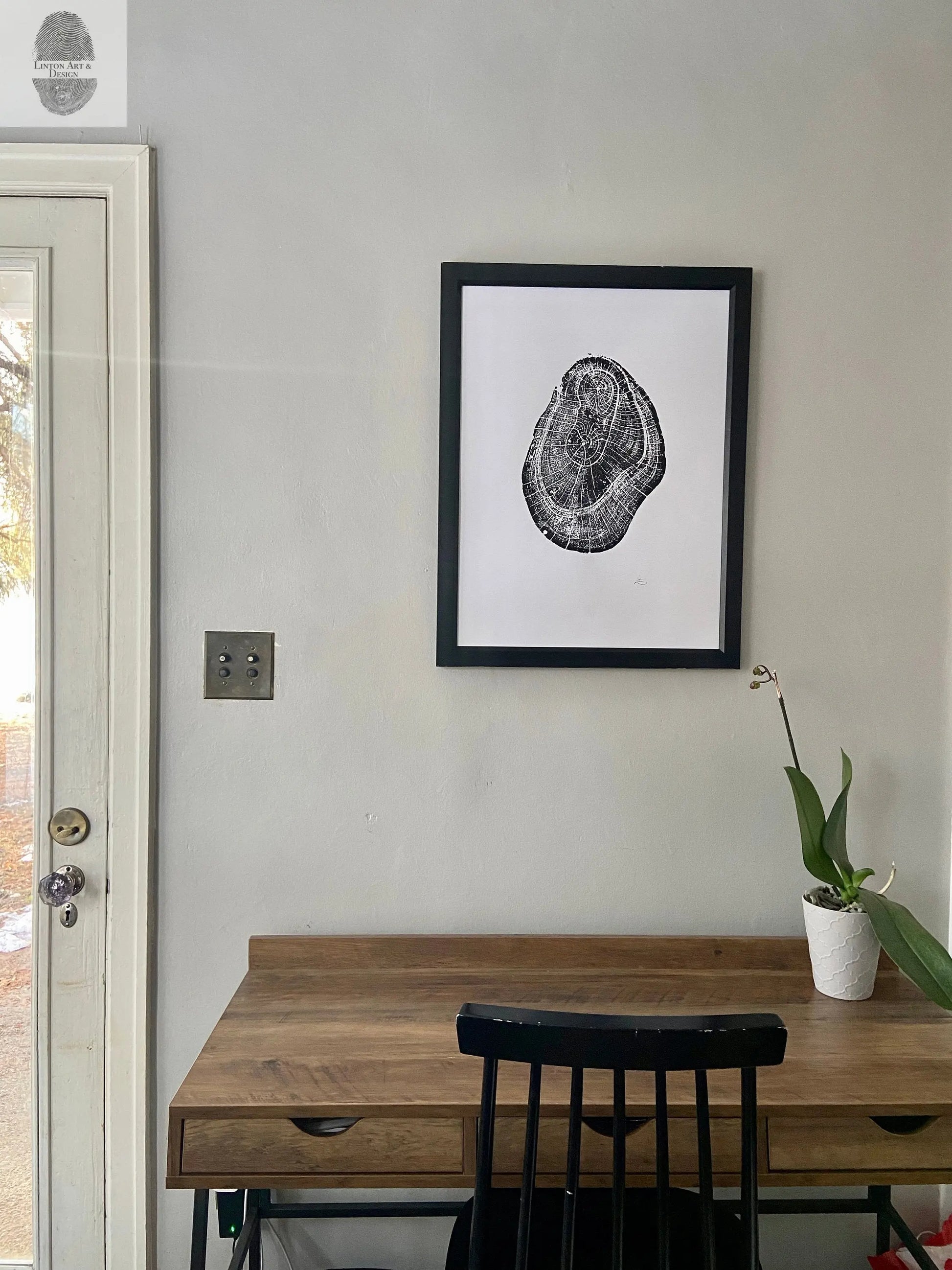 Hawaii Mango Tree, Tree ring print from Hawaii, Tree stump art, 18x24 inch woodcut, handmade by Erik Linton lintonart