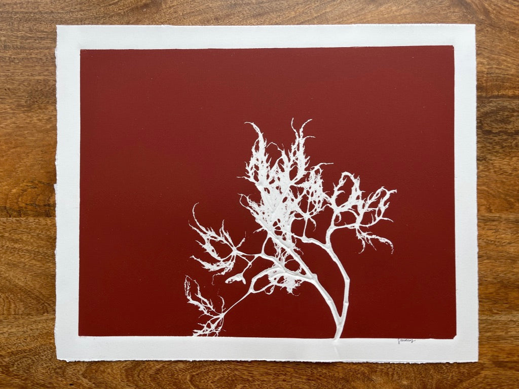 Japanese Maple Hand Pressed Botanical Monoprint on Crimson - Original Print 16x20 inches