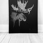 Bull Moose Animal Portrait, Etching