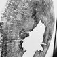 Iowa State, oak Tree, Lumber, Wood Wall Art, Woodcut print, Signed original lintonart