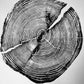 Lake Superior, Lumber, Wood Wall art, Woodcut print, Wood Burning art, Biology Gifts, Michigan Print, Tree of Life, 1 year anniversary, lintonart