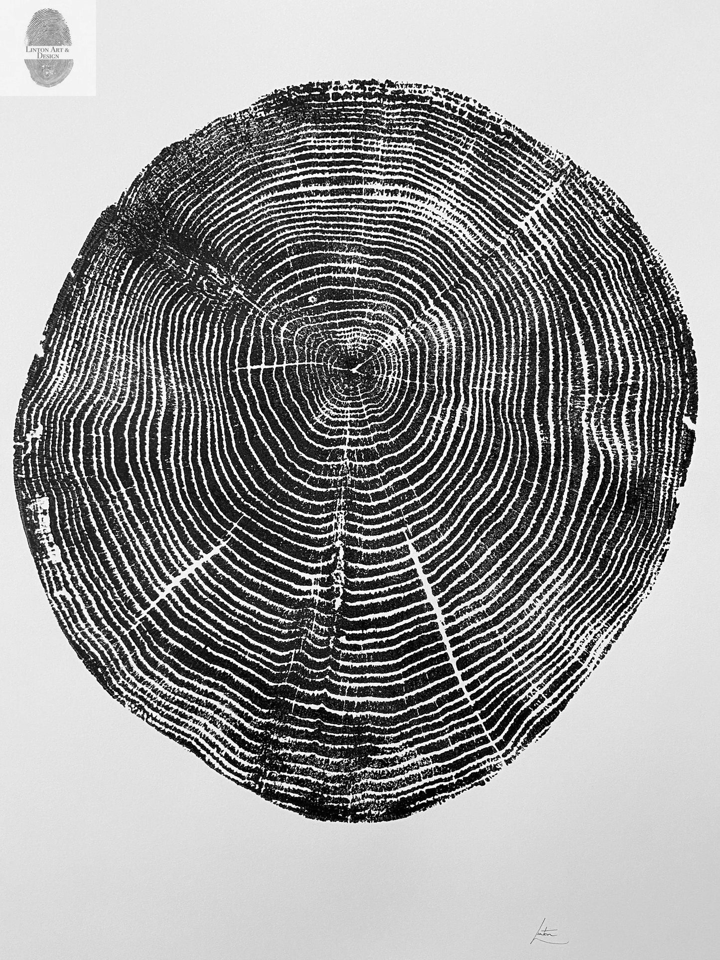 Long Island, NY, Oak tree art, Oak tree ring print, Tree stump art print, Original Woodcut, Woodblock print, Linton Art lintonart
