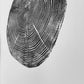 Long Island, NY, Oak tree art, Oak tree ring print, Tree stump art print, Original Woodcut, Woodblock print, Linton Art lintonart