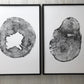 Lumber, Wood Wall Art, Woodcut print, Biology Gifts, Forestry, Tree blocks, Iowa Print, Seattle Print, Signed original 24x36 lintonart