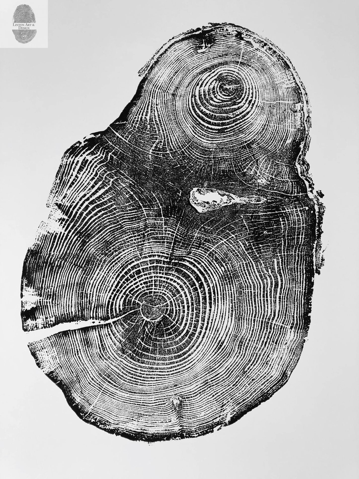 Lumber, Wood Wall Art, Woodcut print, Biology Gifts, Forestry, Tree blocks, Iowa Print, Seattle Print, Signed original 24x36 lintonart