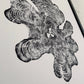 Maine Art, New England Art, York Maine, Downeast Maine, Tree ring Print, Woodcut Print lintonart