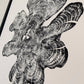 Maine Art, New England Art, York Maine, Downeast Maine, Tree ring Print, Woodcut Print lintonart